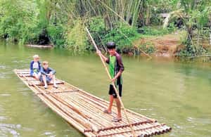 Immagine nº 4 di Khaolak: rafting su bambù, cascate e conservazione delle tartarughe attività a Provincia di Phang Nga, caricata dal fornitore