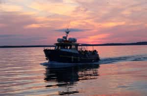 imagen n.º 3 de Dublín: crucero y cena en Howth actividad en Dublín, subida por el proveedor