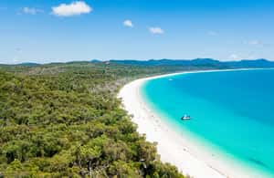 afbeelding n.3 van Airlie Beach: Whitehaven Beach Dagtour met snorkeloptie activiteit in Queensland, geüpload door aanbieder