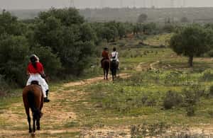 Image N°3 de Sousse/Monastir : excursion privée à cheval avec transfert activité à Monastir, publiée par le prestataire