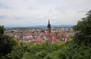 Image N°4 de Fribourg - Visite historique à pied activité à Fribourg-en-Brisgau, publiée par le prestataire