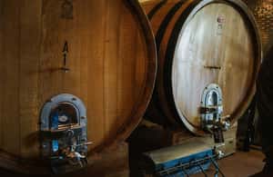 изображение номер 3 мероприятия Экскурсия с дегустацией вин с оливковым маслом и салями в городе Римини, загруженное организатором