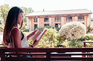 изображение номер 4 мероприятия Экскурсия с дегустацией вин с оливковым маслом и салями в городе Римини, загруженное организатором