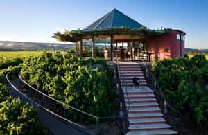 imagen n.º 3 de Barossa: Excursión en grupo reducido, almuerzo y cata de vinos Premium actividad en Australia Meridional, subida por el proveedor