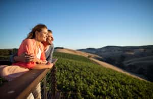 imagen n.º 4 de Barossa: Excursión en grupo reducido, almuerzo y cata de vinos Premium actividad en Australia Meridional, subida por el proveedor