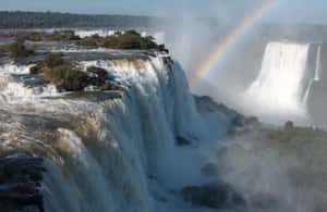 image n.3 of Private Day Tour At Brazil & Argentinean Falls ( Same Day). activity in Puerto Iguazu, uploaded by supplier