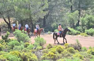 image n.4 of From Fethiye: Horse Riding Adventure activity in Fethiye, uploaded by supplier