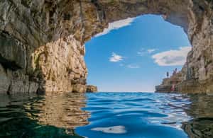 Bild Nr. 4 von Von Fažana aus: Schnorcheln in der Meereshöhle und auf der Insel Brijuni Aktivität in Pula, Kroatien, hochgeladen vom Anbieter