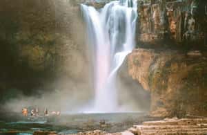 image n.3 of Ubud: Private Hidden Waterfalls and Rice Terrace Tour activity in Bali, uploaded by supplier