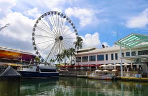 image n.4 of Miami Biscayne Bay: Hop-on Hop-off Boat Cruise activity in Miami, uploaded by supplier