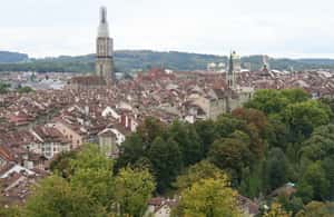 image n.4 of Bern: Private Walking Tour with a Local Guide activity in Bern, uploaded by supplier