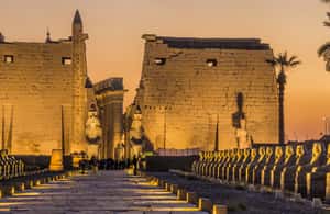 image n.3 of Luxor: Hot Air Balloon Ride with Full-Day Sights Tour activity in Luxor, uploaded by supplier