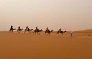 image n.3 of From Marrakech: 3-Day Desert Tour to Agadir activity in Ait Benhaddou, uploaded by supplier