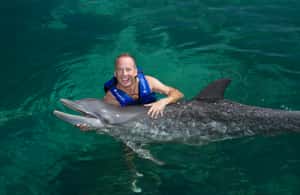 image n.3 of Puerto Morelos: Swim with dolphins Primax activity in Puerto Morelos, uploaded by supplier
