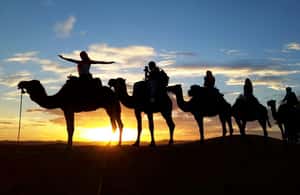 image n.4 of Marrakech Desert Tours 3 Days with Camel Trek and Camping activity in Kalaat M'Gouna, uploaded by supplier