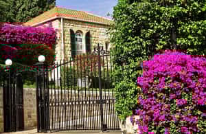 image n.4 of Haifa Private Tour activity in Haifa, uploaded by supplier