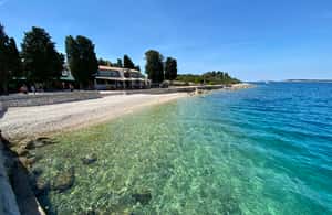 Bild Nr. 4 von Fažana: Kreuzfahrt zu den Brijuni-Inseln mit Halt auf der Pfaueninsel Aktivität in Pula, Kroatien, hochgeladen vom Anbieter