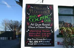 Image N°4 de Dublin : Spectacle de la nuit irlandaise au Merry Ploughboy Pub activité à Comté de Dublin, publiée par le prestataire