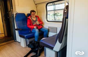 imagen n.º 3 de Eindhoven: Traslado en tren Eindhoven desde/hasta Amsterdam actividad en Ámsterdam, subida por el proveedor