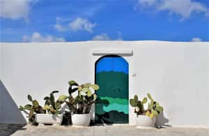 Immagine nº 3 di Ostuni: Tour in bicicletta con un bicchiere di vino e bruschetta attività a Ostuni, caricata dal fornitore