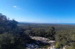 Immagine nº 4 di Ostuni: Tour in bicicletta con un bicchiere di vino e bruschetta attività a Ostuni, caricata dal fornitore