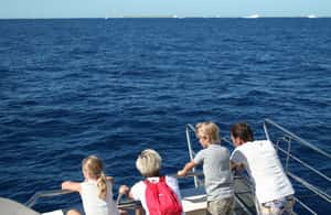 Image N°4 de Ibiza : Santa Eulalia Transfert aller-retour à Formentera activité à Santa Eulària des Riu, publiée par le prestataire