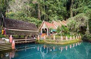 image n.3 of From Chiang Mai: Chiang Dao Cave Trekking Full-Day Tour activity in Chiang Mai Province, uploaded by supplier