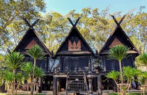 imagen n.º 3 de Desde Chiang Mai: Personaliza tu propio tour privado por Chiang Rai actividad en Chiang Rai (provincia), subida por el proveedor