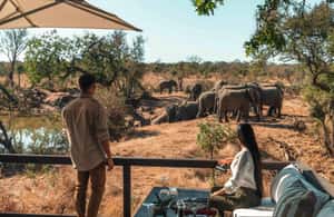 image n.3 of From Windhoek: Private 10-Day Great Escape Namibia Safari activity in Erongo, uploaded by supplier