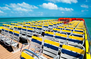 imagen n.º 3 de Playa Del Carmen: ferri de ida y vuelta a/desde Cozumel actividad en Playa del Carmen, subida por el proveedor