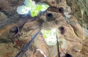 imagem n.4 de Excursão e transporte para as cavernas Green Grotto atividade em Clarendon, carregada pelo fornecedor