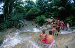 imagem n.4 de Montego Bay: Viagem ao Blue Hole, Secret Falls e Dunn's River Fall atividade em Jamaica, carregada pelo fornecedor