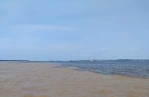 imagen n.º 4 de Safari Amazonas® Manaus: Excursión de un día por el río Amazonas actividad en Manaos, subida por el proveedor