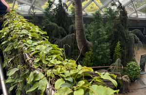 imagen n.º 3 de Singapur: tour de la ciudad y Jurassic World en Gardens by the Bay actividad en Singapur, subida por el proveedor