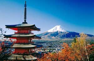 obrázek č.3 aktivity Z Tokia: Celodenní soukromá prohlídka hory Fuji s možností přizpůsobení v destinaci Hakone, nahraný poskytovatelem aktivity