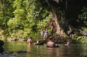 bild nr.3 av Riverside Jungle Trip & Sunset Boat Party av Haqqy Life aktivitet i Catanduanes-provinsen, uppladdad av arrangören