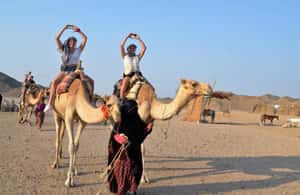 image n.4 of Hurghada: Quad Bike, Buggy, and Camel Ride & Bedouin Village activity in Hurghada, uploaded by supplier
