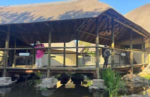 image n.4 of Johannesburg Lion Park and Lesedi Cultural Village activity in Hartbeespoort, uploaded by supplier