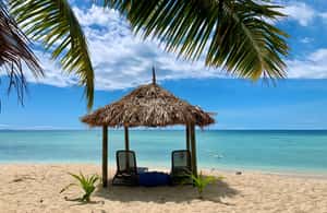 image n.3 of Fiji: Captain Cook Cruises - Island & Reef Day Trip activity in Denarau Island, uploaded by supplier