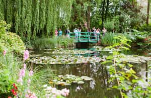 bild nr.3 av Från Paris: Monet Garden & Giverny Cykeltur och picknickstopp aktivitet i Giverny, uppladdad av arrangören