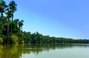 image n.4 of From Puerto Maldonado | Jungle hike + Sandoval Lake | activity in Puerto Maldonado, uploaded by supplier