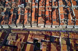 From Split & Trogir: Dubrovnik Guided Day Tour