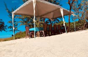 bild nr.3 av Blue bay: båttur till ile au cerf (5 öar, grillning) aktivitet i Mauritius, uppladdad av arrangören