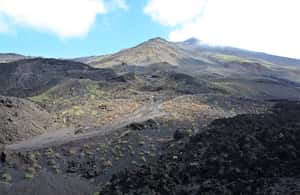 image n.3 of From Messina Day Tour To Etna Volcano, Winery and Taormina activity in Catania, uploaded by supplier