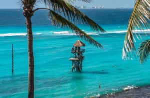 imagem n.4 de De Cancún: Entrada no parque Garrafon Reef com bilhetes de balsa atividade em Quintana Roo, carregada pelo fornecedor