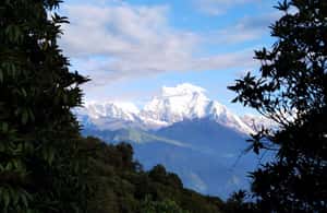 image n.4 of From Pokhara: 5 Day Poon Hill with Natural Hot Spring Trek activity in Ghandruk, uploaded by supplier
