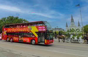 Immagine nº 4 di New Orleans: tour di 2 o 3 giorni in autobus Hop-on Hop-off con tour a piedi attività a New Orleans, caricata dal fornitore