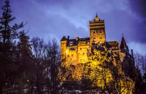 image n.4 of ICONIC TOUR: Dracula’s Delight Round-Trip Day Trip activity in Brasov, uploaded by supplier