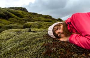 image n.4 of Private Glacier Lagoon & Diamond Beach Tour activity in Northeastern Region, Iceland, uploaded by supplier