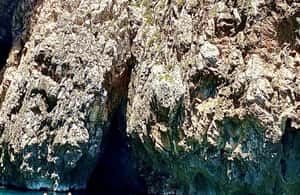 image n.3 of From Leuca: Adriatic Boat Tour with Ionian Caves & Swimming activity in Apulia, uploaded by supplier